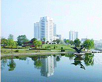 城市风光2